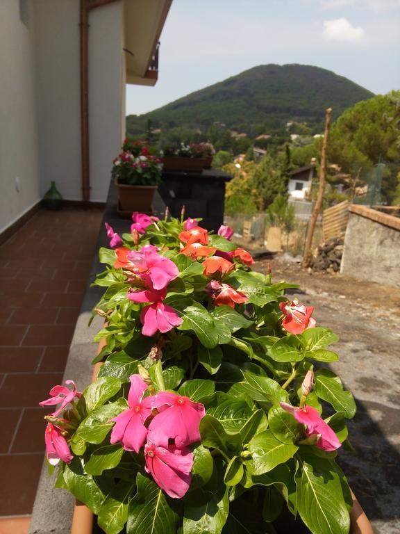 Bed and Breakfast Il Giardino Di Leoca Nicolosi Exterior foto